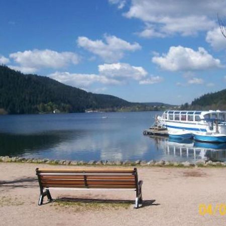 House With Terrace Near The Lake Gerardmer Bagian luar foto